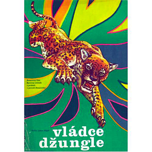 ジャングルキャット