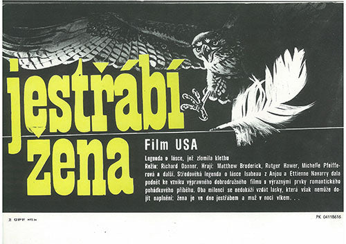 image of hawk and feather