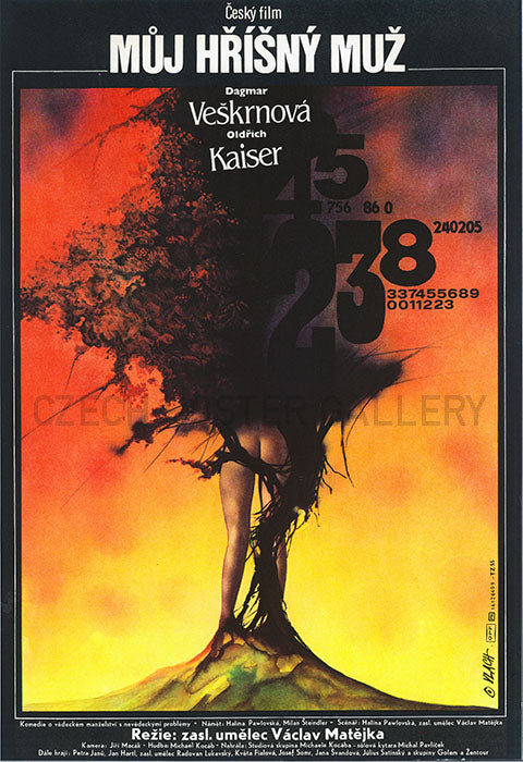 MY SINFUL HUSBAND (Muj Hrisny Muz) Czech Poster