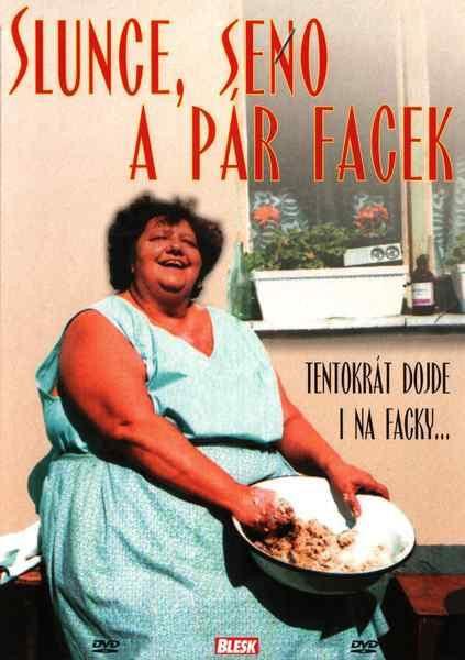Sun, Hay and a Slap (Slunce, seno a par facek) Czech DVD with subtitles