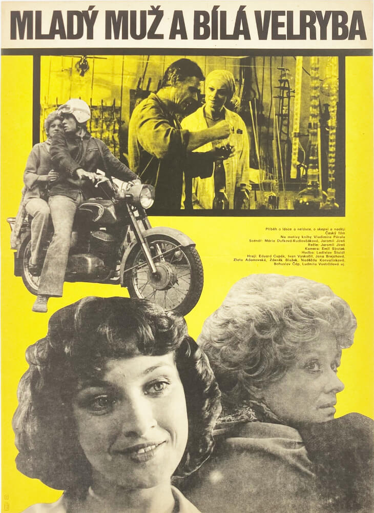 The Young Man and the White Whale