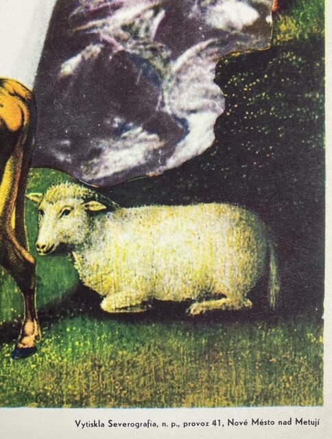 THE GIRL ON THE BROOMSTICK Czech Poster