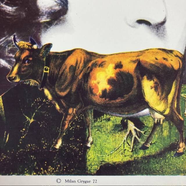 THE GIRL ON THE BROOMSTICK Czech Poster