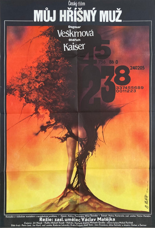 MEIN SÜNDIGER EHEMANN (Muj Hrisny Muz) Tschechisches Poster