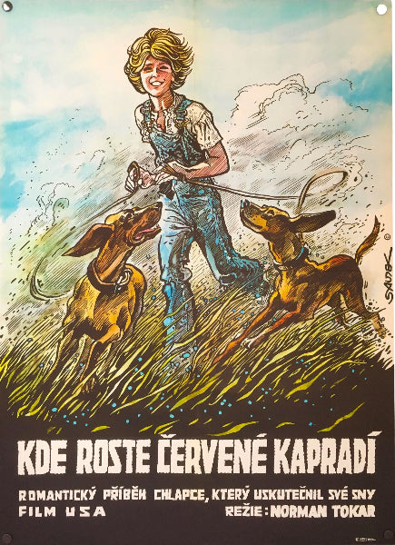 Vintage poster with a kid and two dogs in a field, featuring text in Czech.