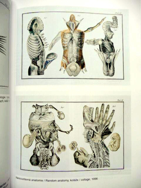 Jan Svankmajer - Transmutation of Senses | Book