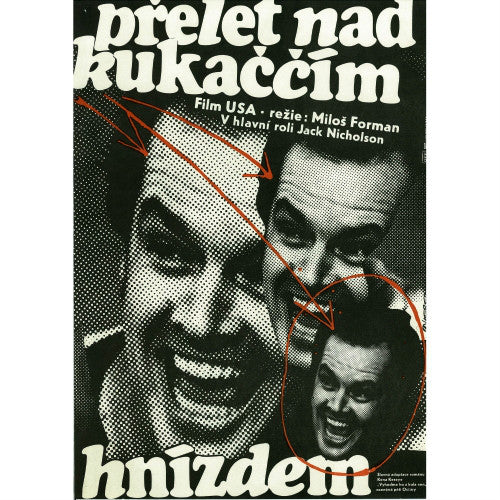 Einer flog über das Kuckucksnest