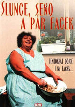 Load image into Gallery viewer, Sun, Hay and a Slap (Slunce, seno a par facek) Czech DVD with subtitles
